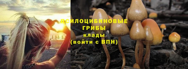 каннабис Пестово
