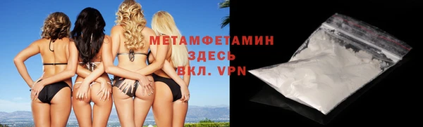 стафф Гатчина