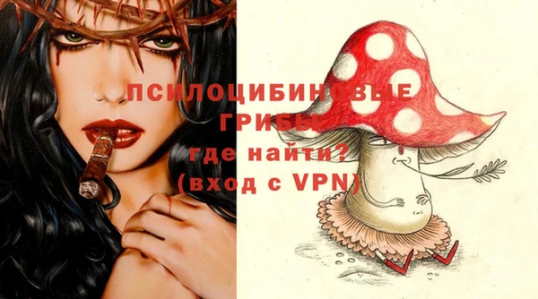 шишки Богданович