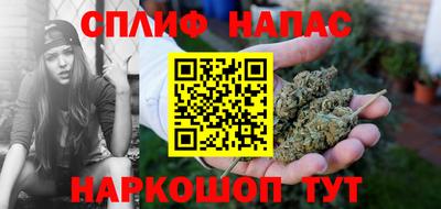 гашик Будённовск