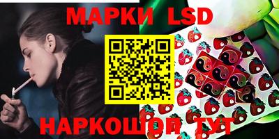 гашик Будённовск