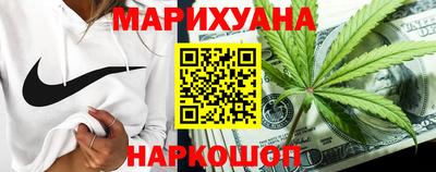 гашик Будённовск