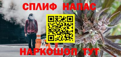 мяу мяу мука Беслан