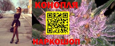 сатива Бузулук