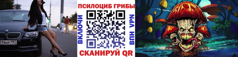 сколько стоит  Грозный  Галлюциногенные грибы GOLDEN TEACHER 