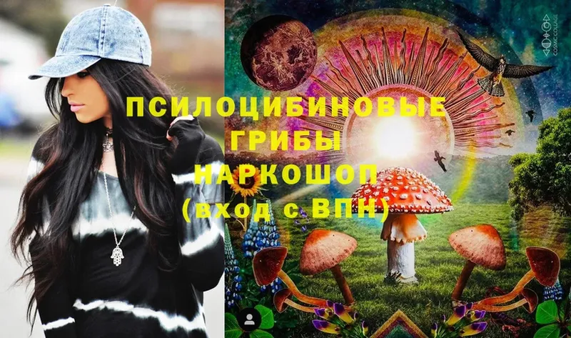 площадка как зайти  Грозный  Галлюциногенные грибы Cubensis 