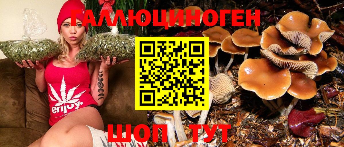 Грозный  Галлюциногенные грибы MAGIC MUSHROOMS  Вход с VPN 