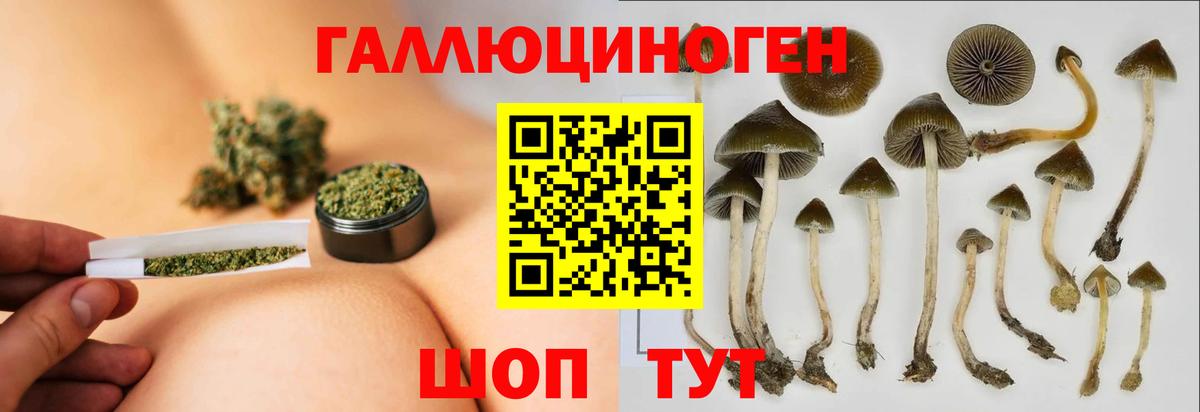 Псилоцибиновые грибы мицелий Грозный